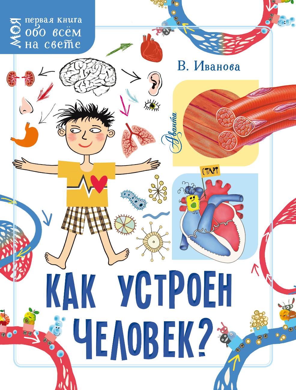 Как устроен человек?