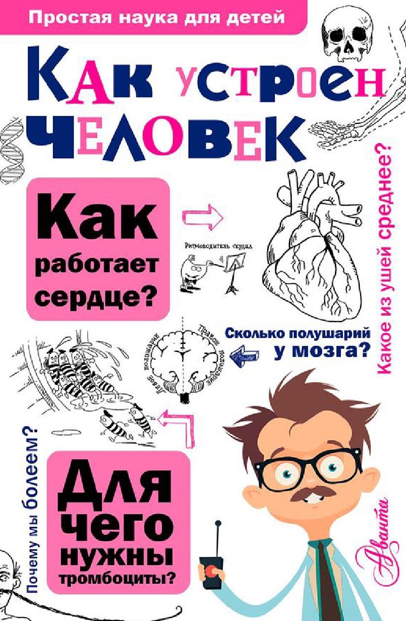 Как устроен человек. Простая наука для детей