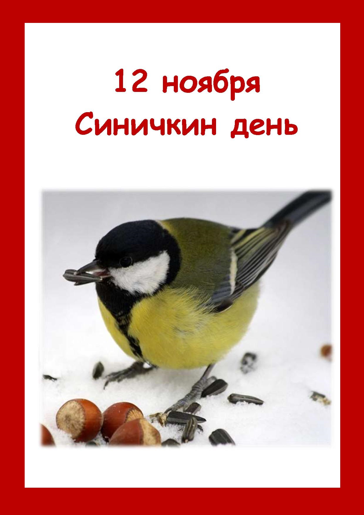 Материал для родителей на тему 12 ноября - Синичкин День