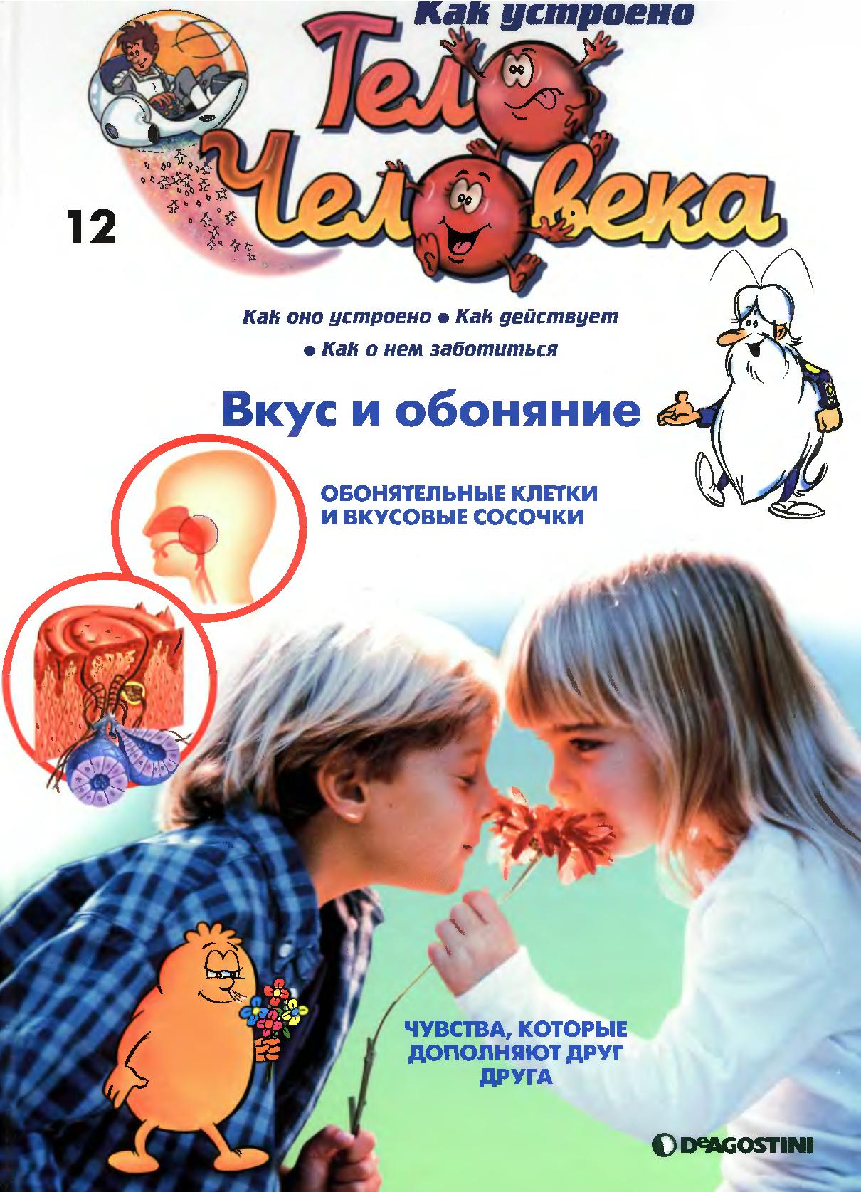 Тело человека. Вкус и обоняние