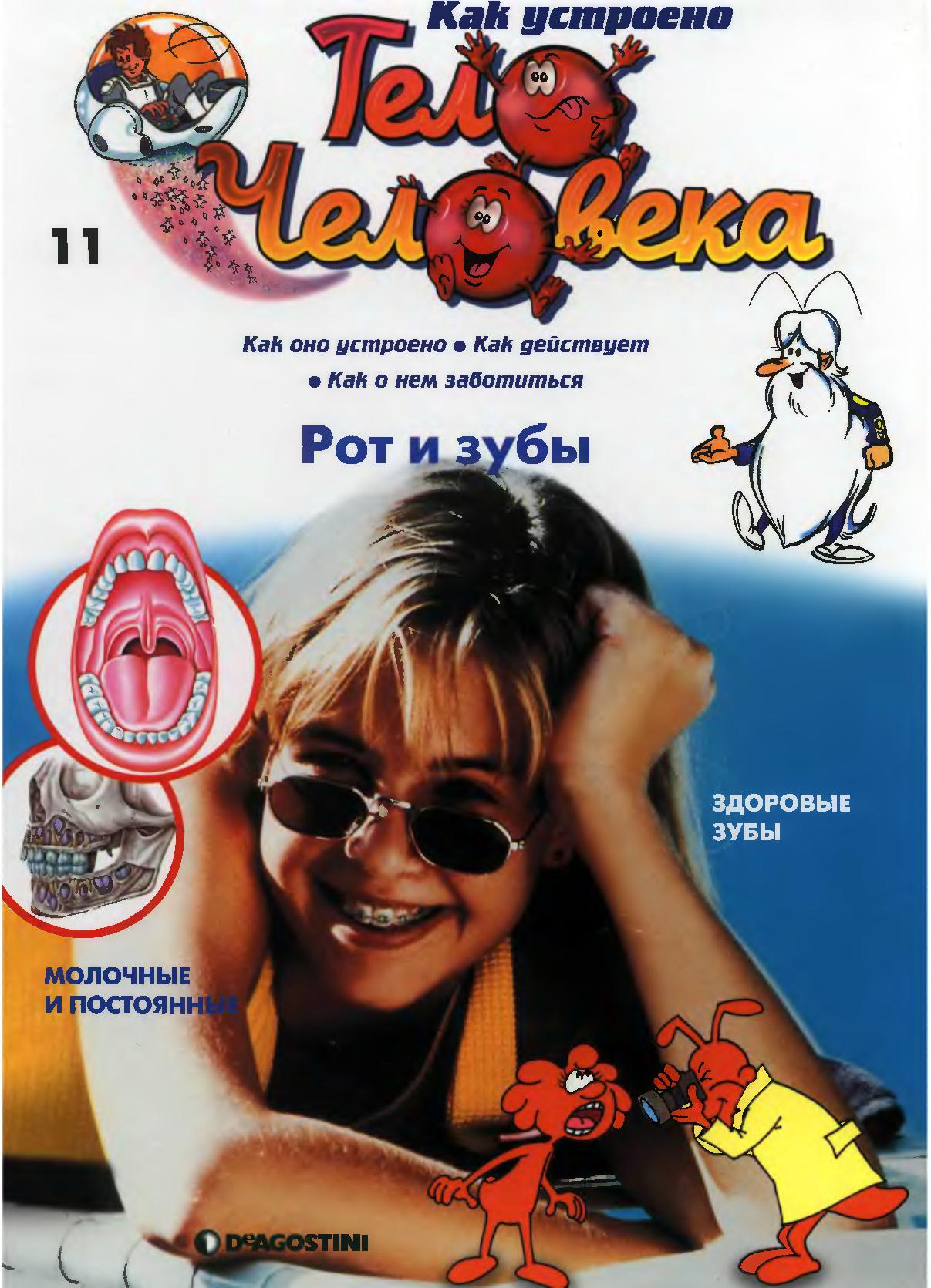 Тело человека. Рот и зубы