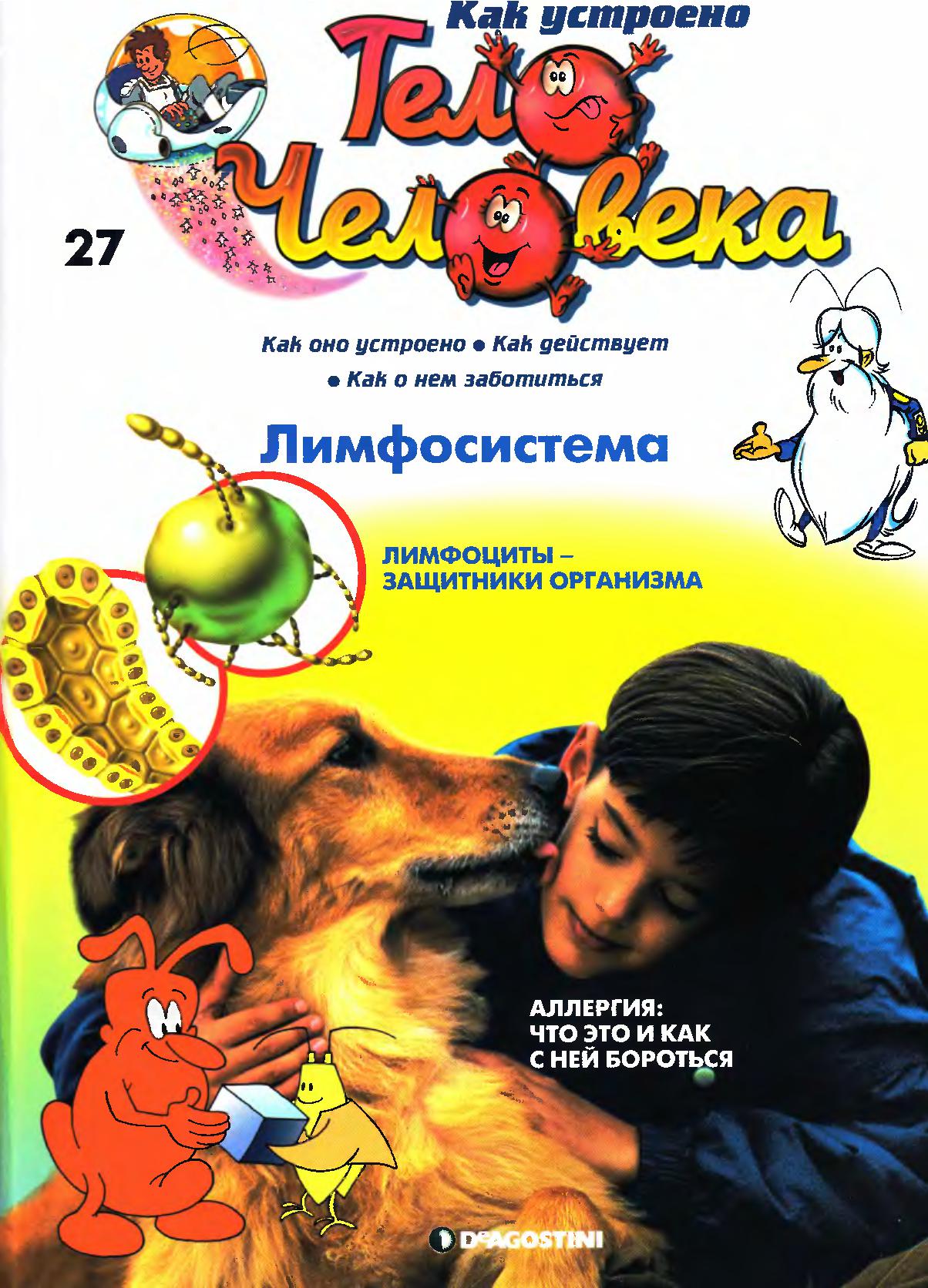 Тело человека. Лимфосистема