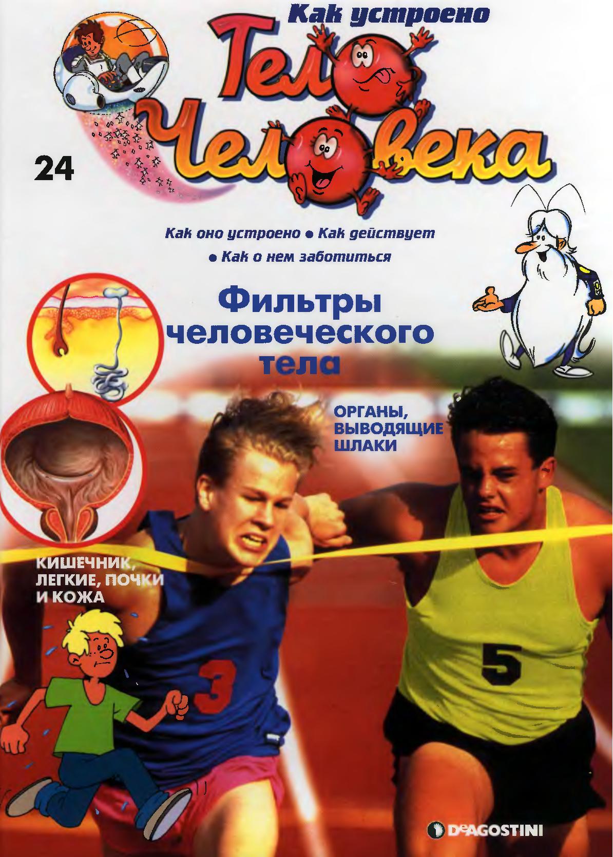 Тело человека. Фильтры человеческого тела