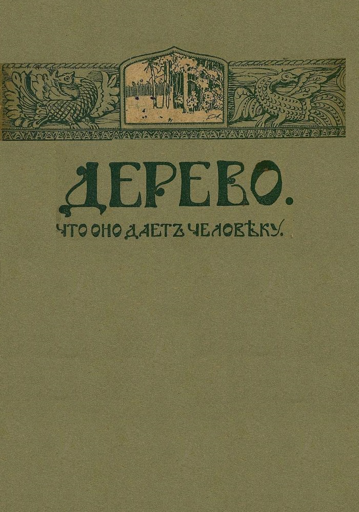 Дерево. Что оно дает человеку