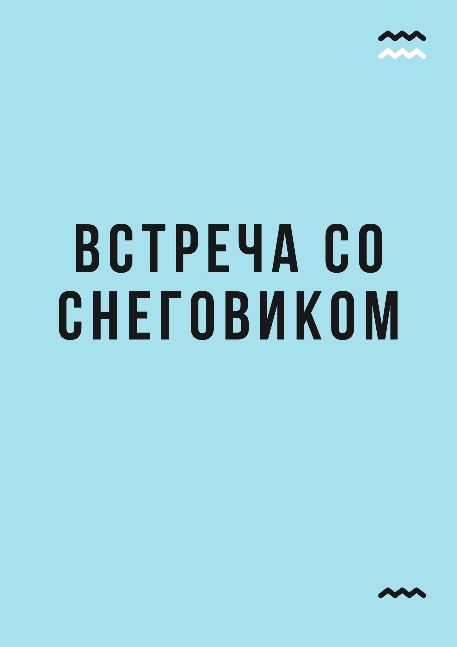 Встреча со снеговиком