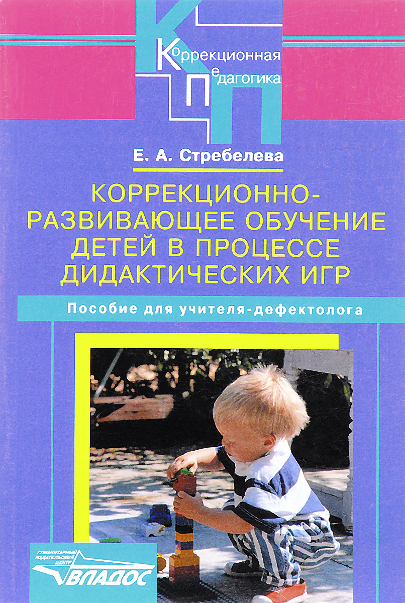 Коррекционно-развивающее обучение детей в процессе дидактических игр