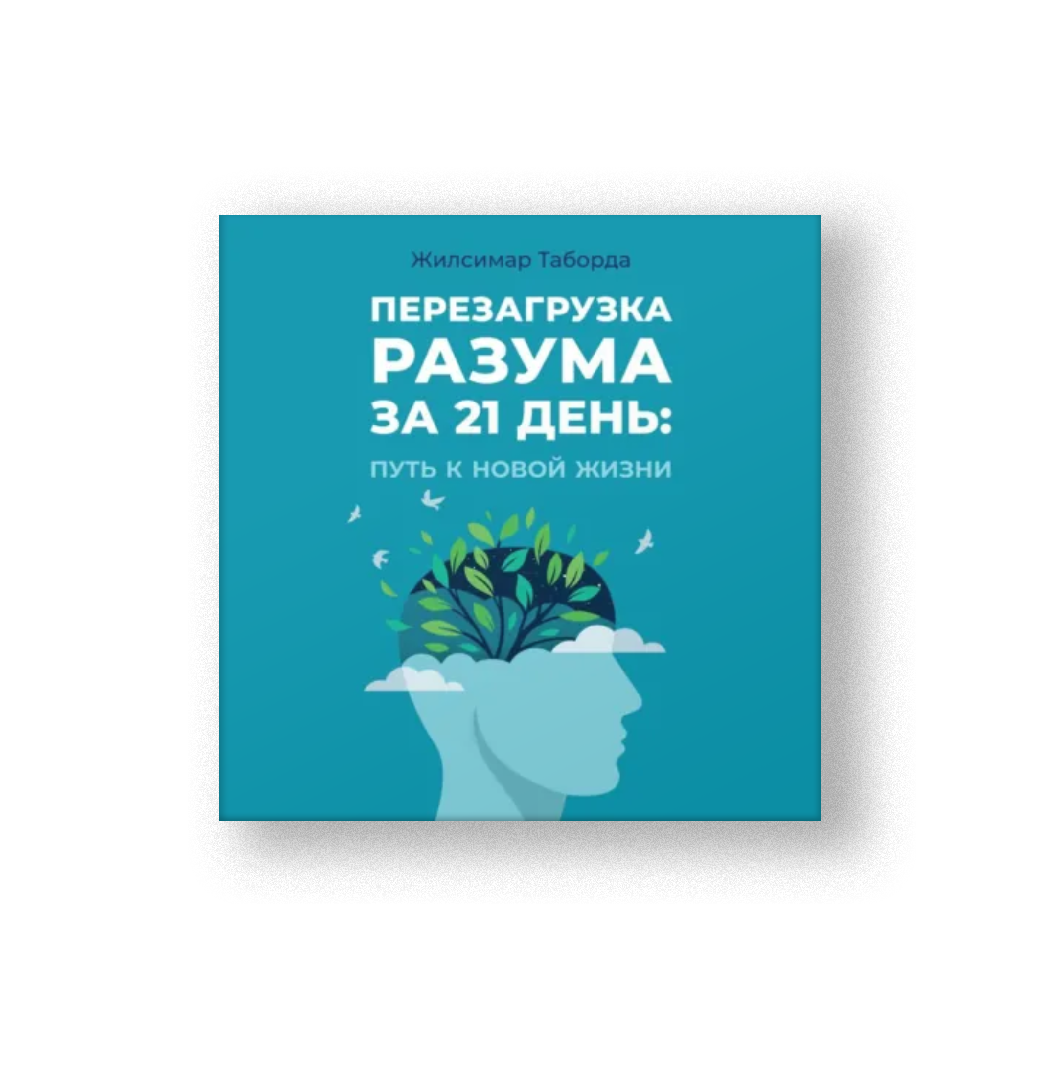 Обложка книги Перезагрузка разума за 21 день: Путь к новой жизни