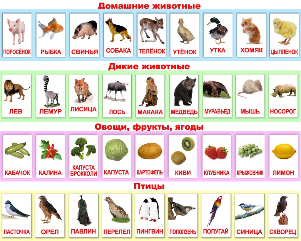 Карточки Домана