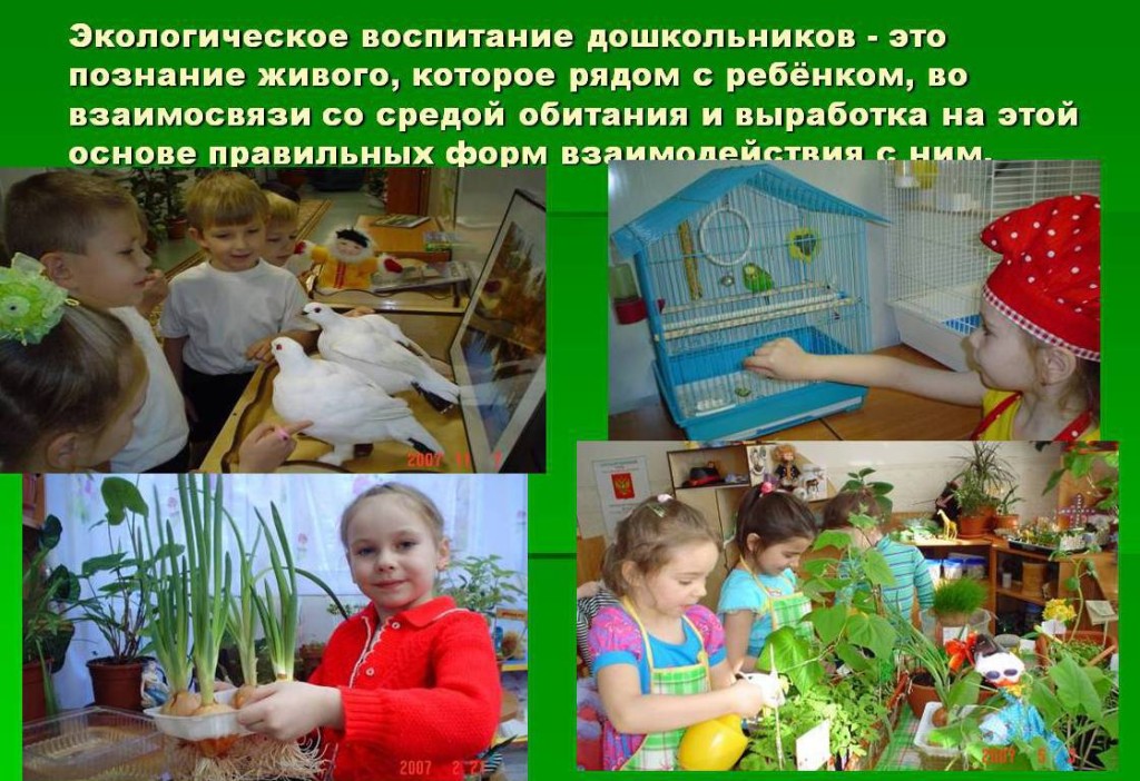 Экологическое воспитание
