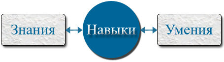 Знания, умения и навыки