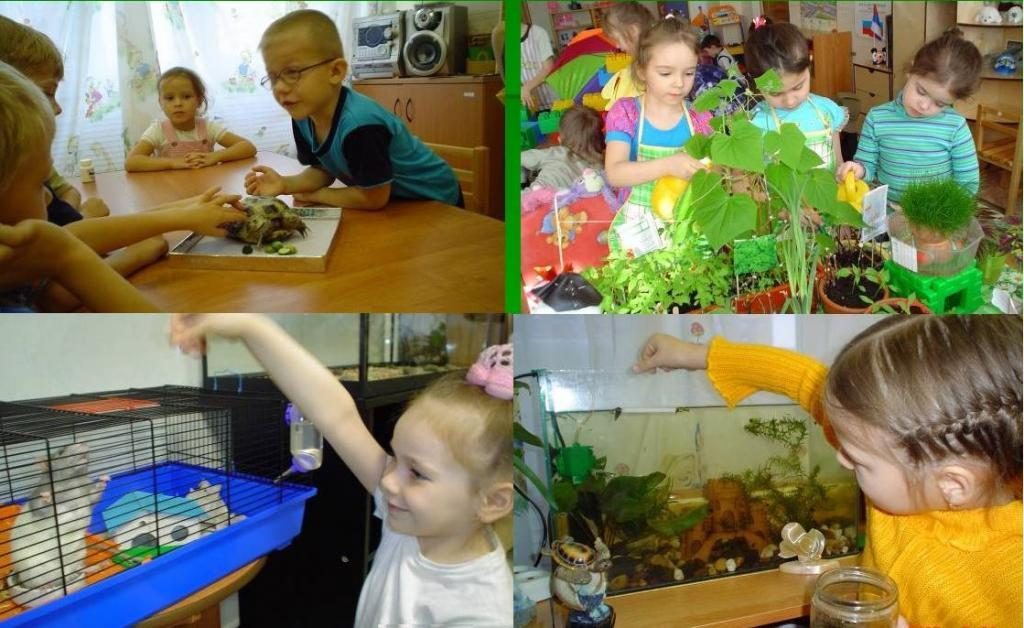 Формы трудового воспитания в детсаду