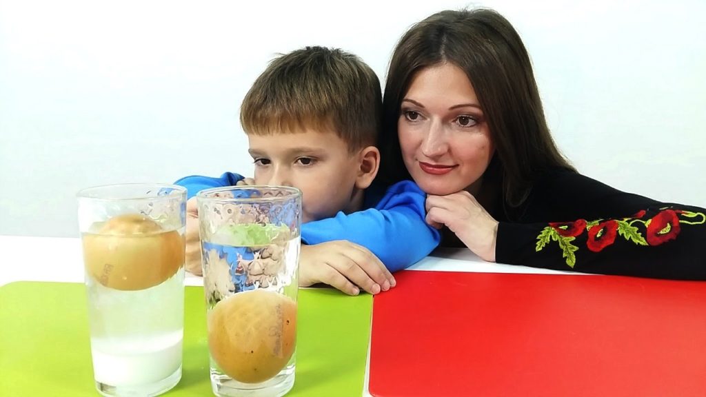 Проведение опытов с яйцом