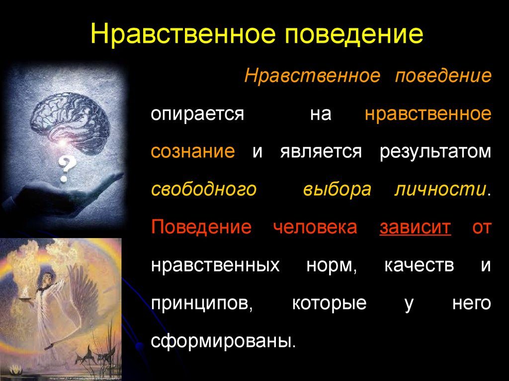 Что такое нравственное поведение - определение