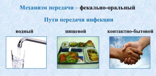 Механизм передачи ротавирусной инфекции