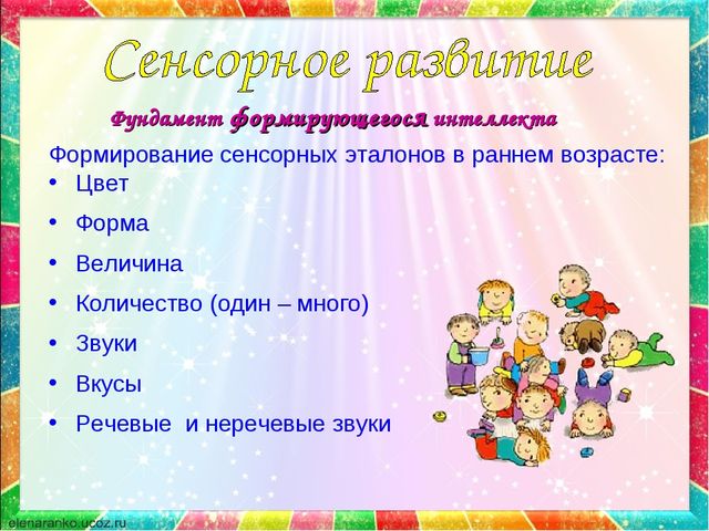 Сенсорное развитие детей
