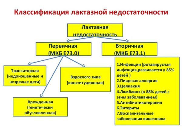 Классификация лактазной недостаточности