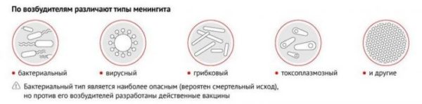 Виды менингита по возбудителю