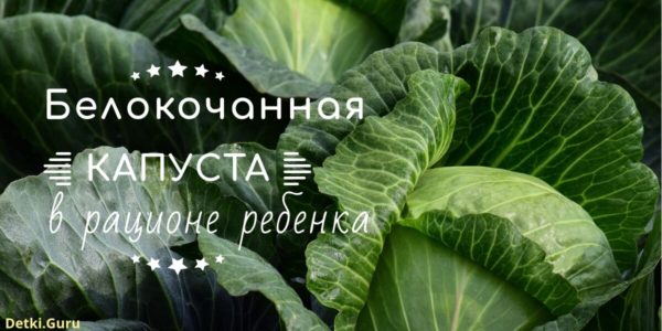Белокочанная капуста в рационе ребенка