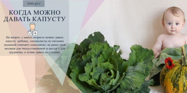 Белокочанная капуста в рационе ребенка