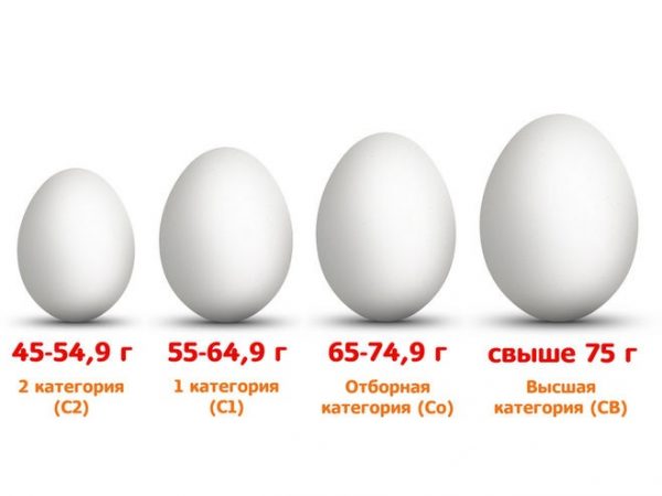 Куриные яйца в рационе малыша: когда, сколько и какие яйца давать ребенку
