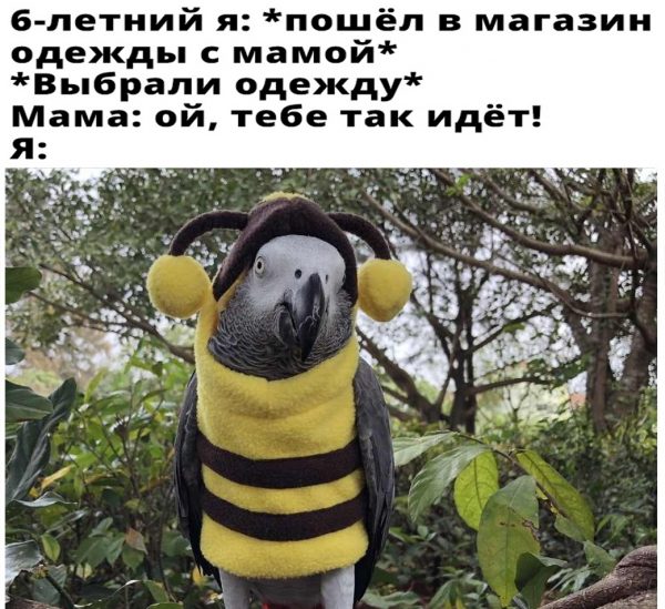 Приучаем ребенка к самостоятельности