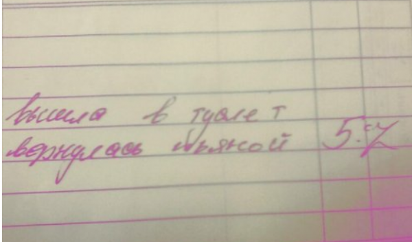 Запись в дневнике