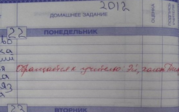 Запись в дневнике