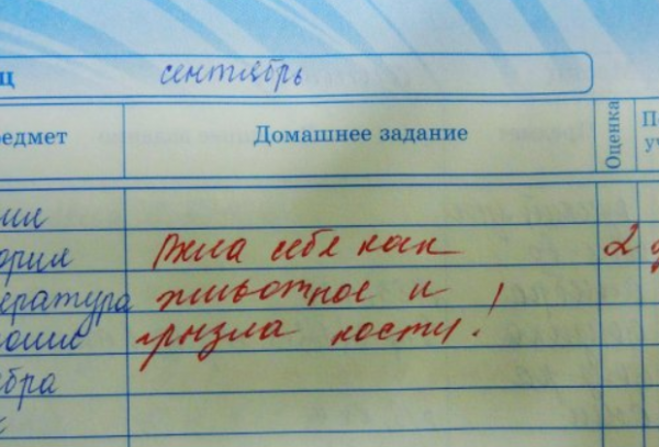 Запись в дневнике