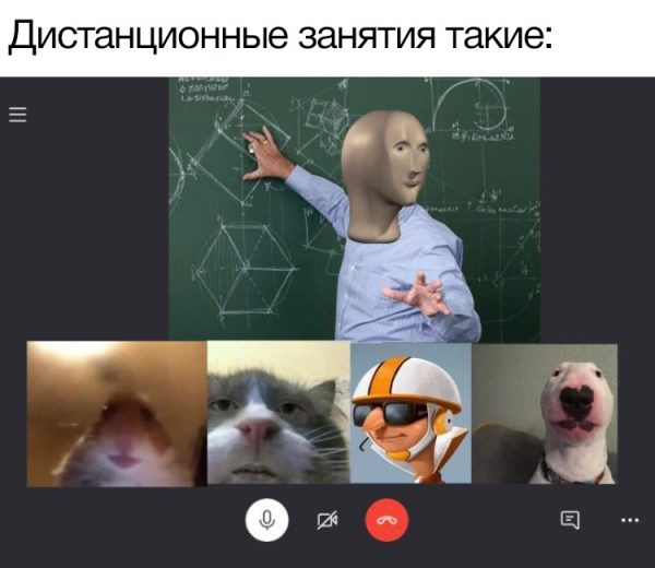 Как люди работают и развлекаются в самоизоляции дома: 26 реальных фото и 2 видео