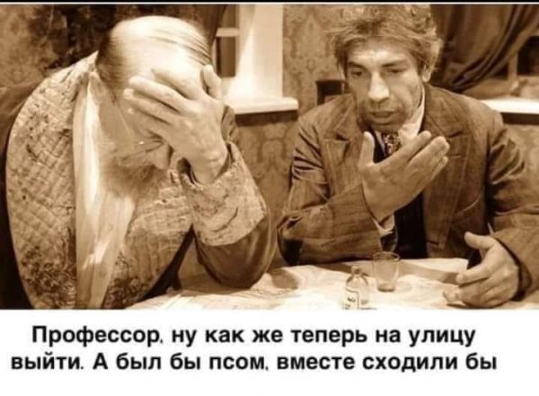 Как люди работают и развлекаются в самоизоляции дома: 26 реальных фото и 2 видео
