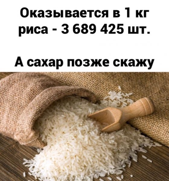 Как люди работают и развлекаются в самоизоляции дома: 26 реальных фото и 2 видео