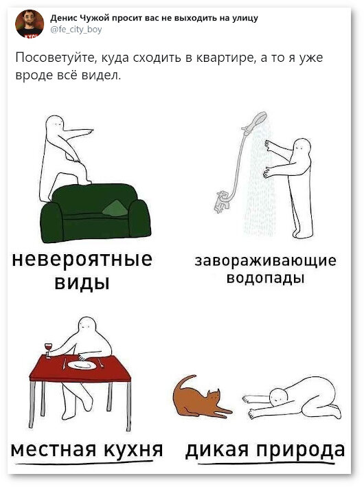 Карантин продлили - домашние развлечения тоже. 31 свеженькое фото