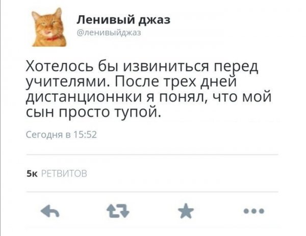 Карантин продлили - домашние развлечения тоже. 31 свеженькое фото