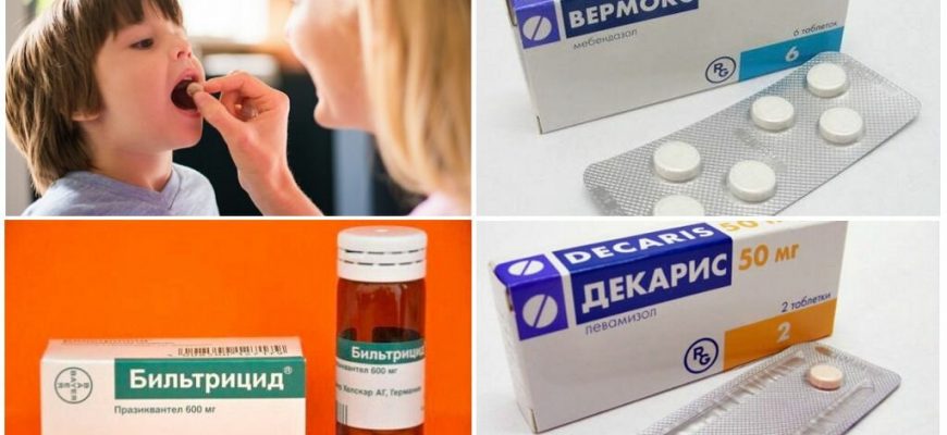 Профилактика глистов