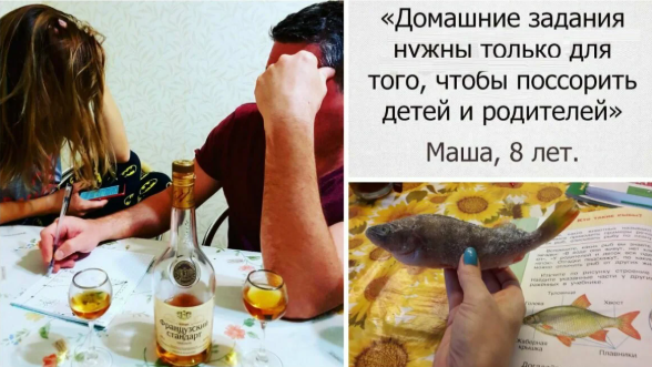 Карантин продлили - домашние развлечения тоже. 31 свеженькое фото