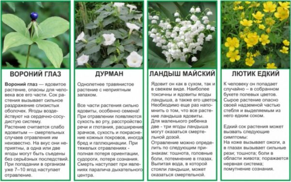 4 главные опасности для детей в летний период