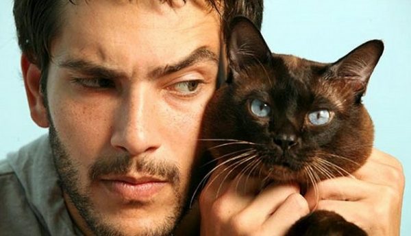 Девушка, это мой мужчина и тебе тут ничего не светит: 27 фото оккупированного питомцем жениха