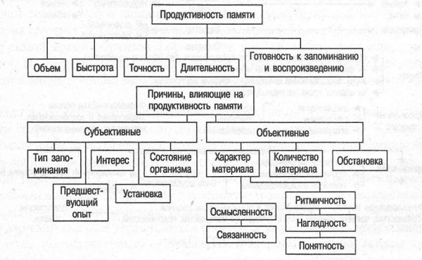 Почему у современных детей все чаще наблюдаются проблемы с памятью и что с этим делать