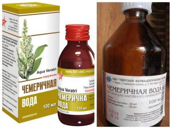 Педикулез в 21 веке: почему человечество не может победить вшей и что делать, если ребенок где-то подцепил эту заразу