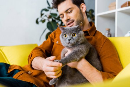 Девушка, это мой мужчина и тебе тут ничего не светит: 27 фото оккупированного питомцем жениха