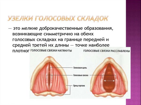 3 серьезные причины хрипоты у детей