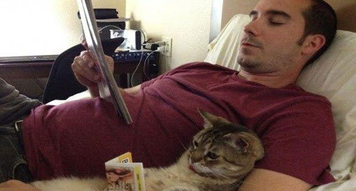 Девушка, это мой мужчина и тебе тут ничего не светит: 27 фото оккупированного питомцем жениха