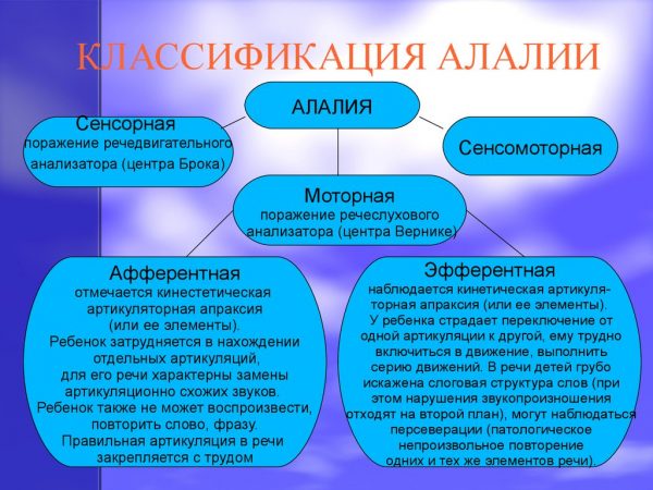 Виді алалии