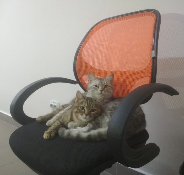 Шеф с женой