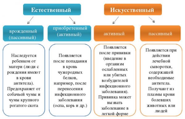 Виды иммунитета