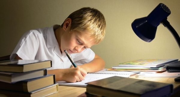Мальчик делает уроки