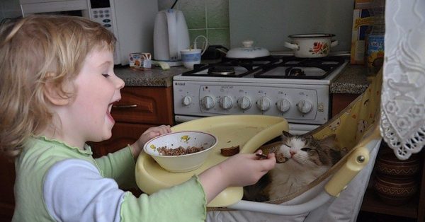 ребенок кормит кота