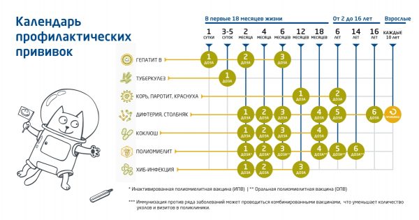 Календарь профилактических прививок