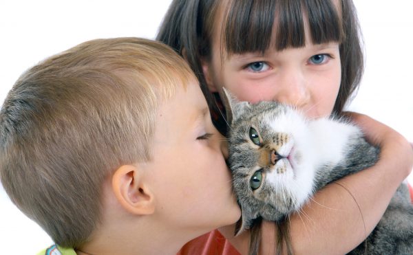 дети с котом