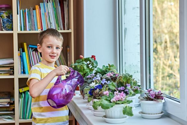 поливает